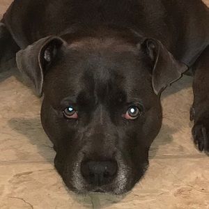 Meet your Posher, Shawn